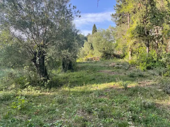 Land In Corfu, Greece