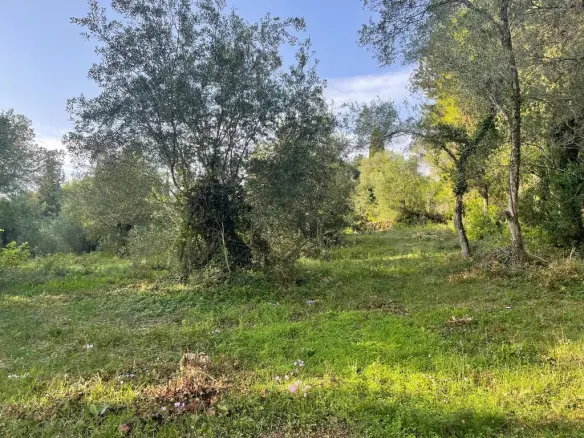Land In Corfu, Greece
