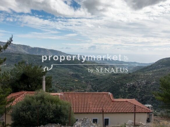 Single-family Home 240 M²