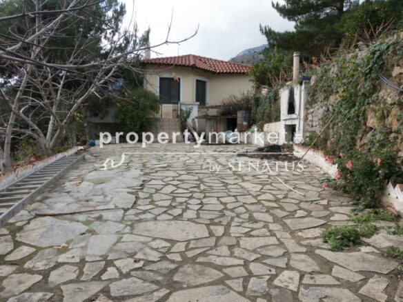 Single-family Home 240 M²