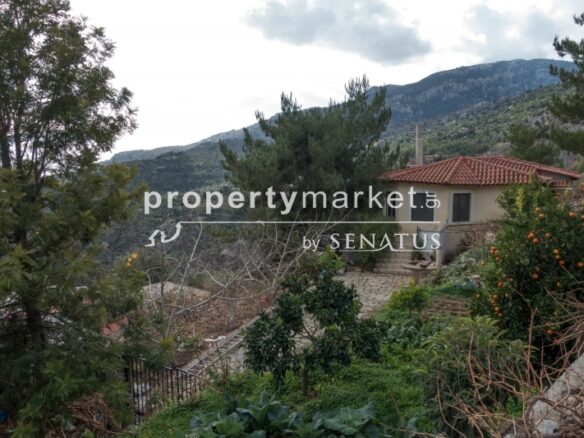 Single-family Home 240 M²