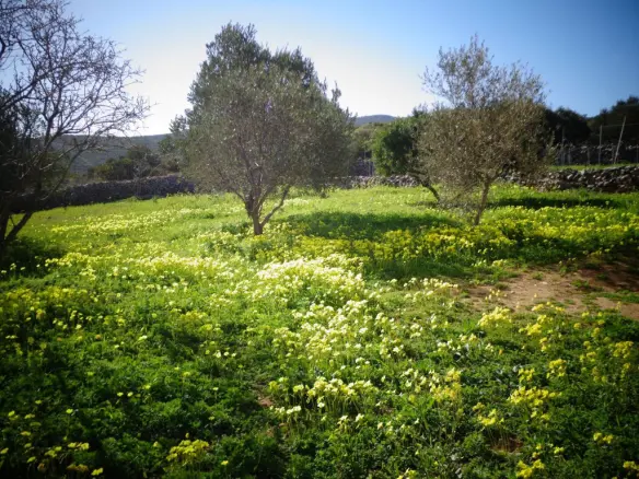 2-bedroom Detached House In Greece (80 M²)