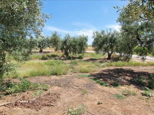 Land In Nea Propontida, Greece