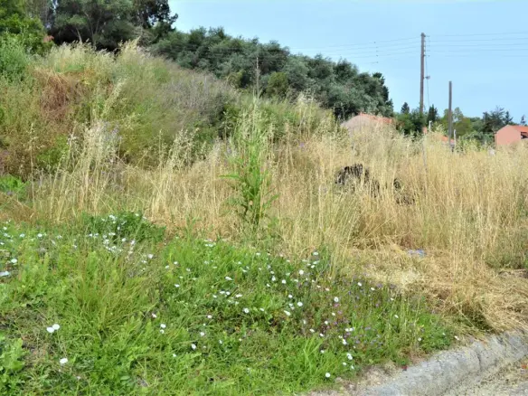 Land In Corfu, Greece