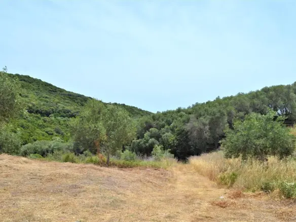 Land In Corfu, Greece