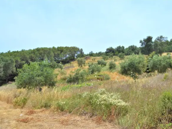 Land In Corfu, Greece