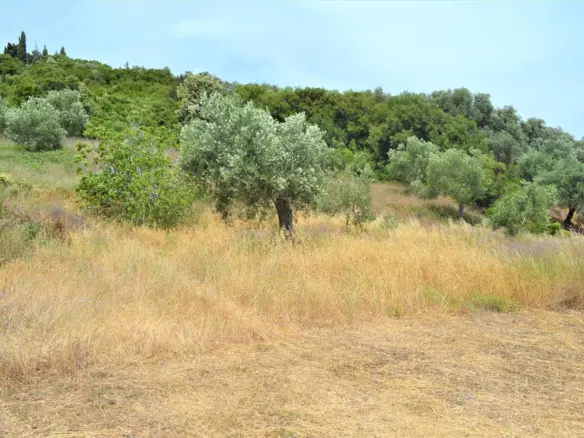 Land In Corfu, Greece