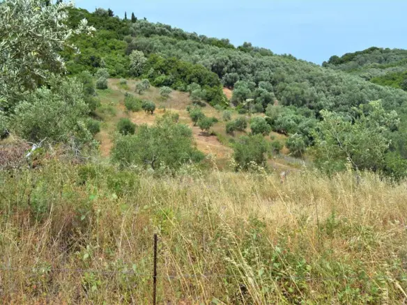 Land In Corfu, Greece