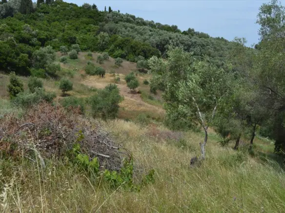 Land In Corfu, Greece