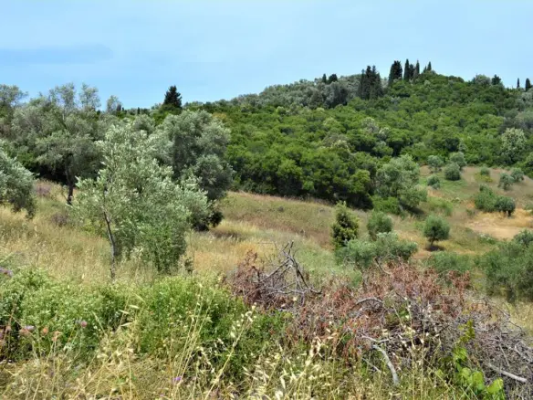 Land In Corfu, Greece