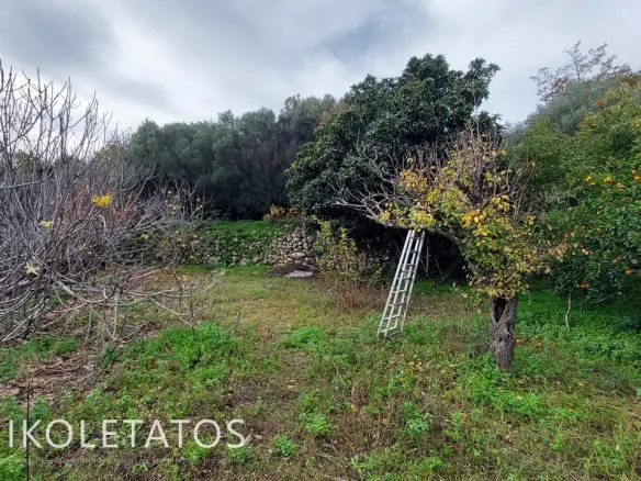 House In Pastra, Greece
