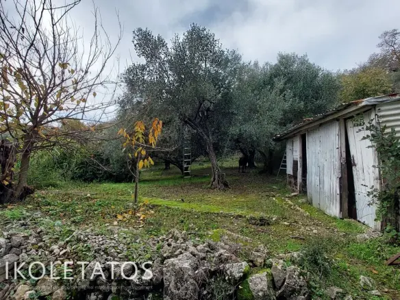 House In Pastra, Greece