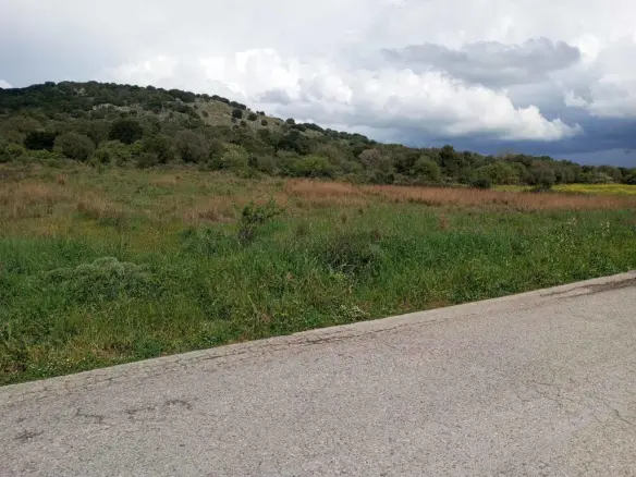 Land 7200 M² In Central Greece