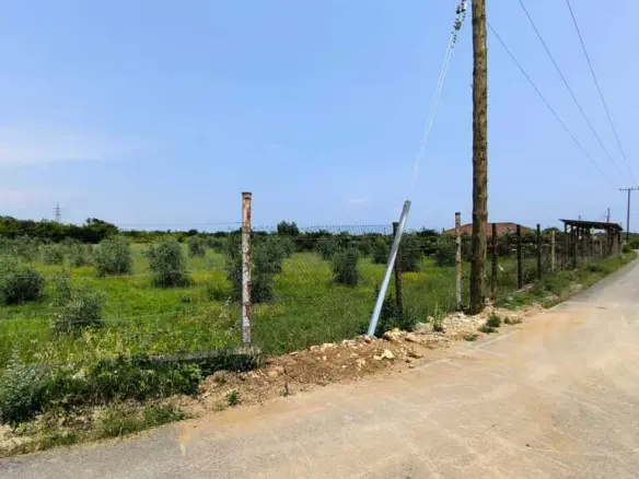 Land 5432 M² On The Olympic Coast