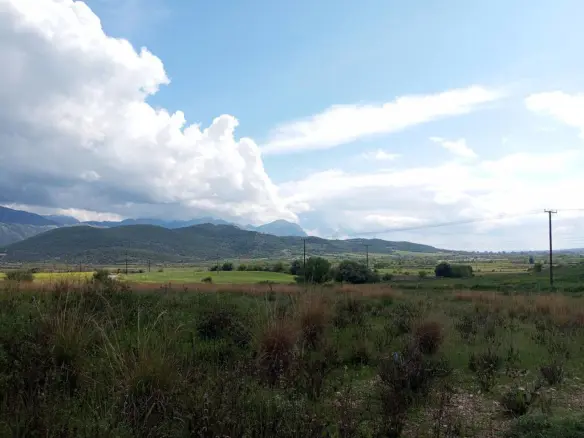 Land 7200 M² In Central Greece