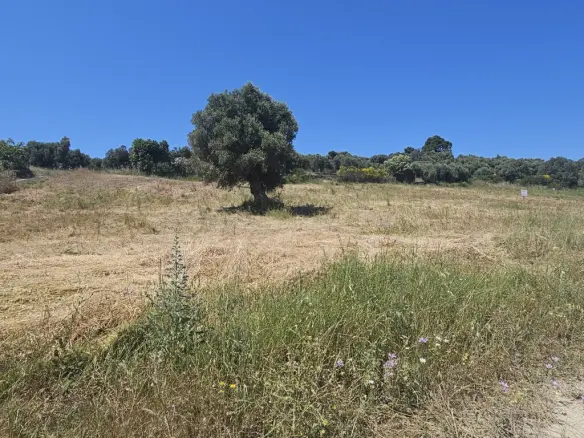 Land 5800 M² In Kassandra, Chalkidiki