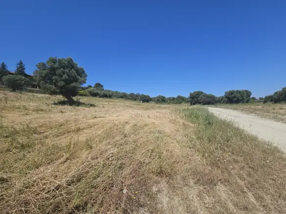 Land 5800 M² In Kassandra, Chalkidiki