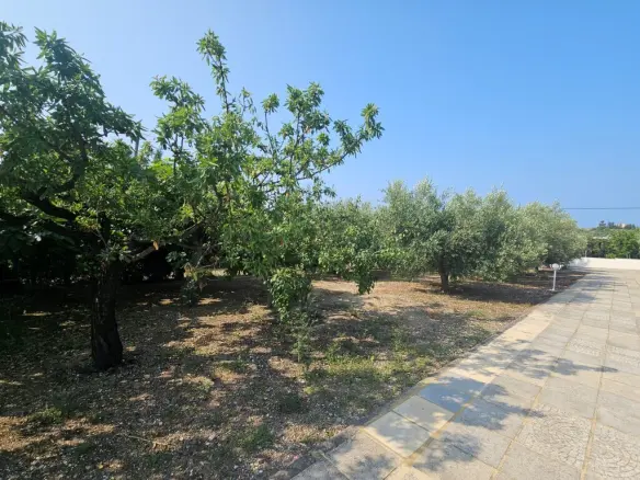4-bedroom Villa In Kassandra, Greece (288 M²)
