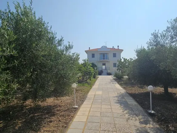 4-bedroom Villa In Kassandra, Greece (288 M²)