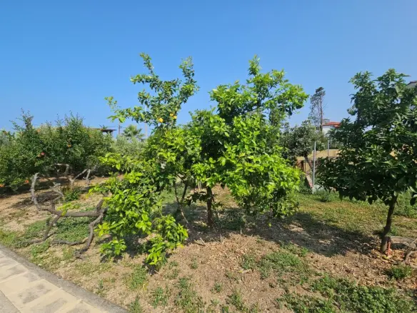 4-bedroom Villa In Kassandra, Greece (288 M²)