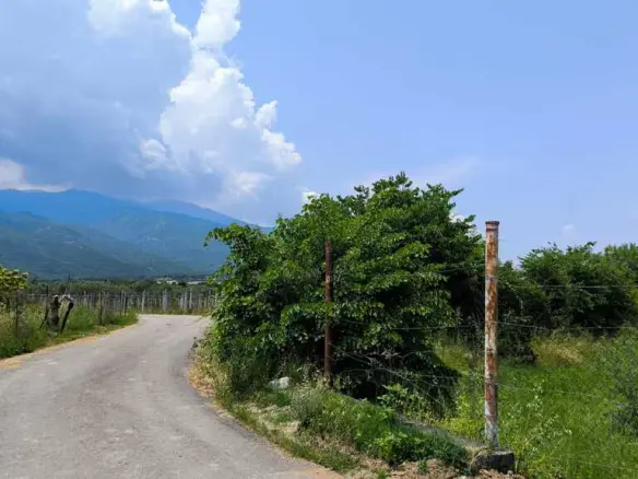 Land 5432 M² On The Olympic Coast