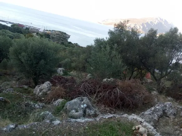 Land 1170 M² In Ionian Islands