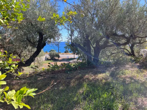 Business 144 M² In Crete