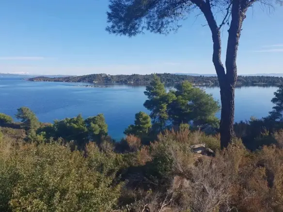 Detached House 126 M² In Sithonia, Chalkidiki