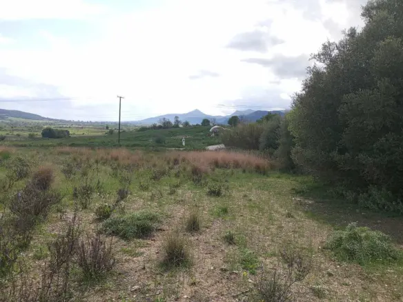 Land 29796 M² In Central Greece