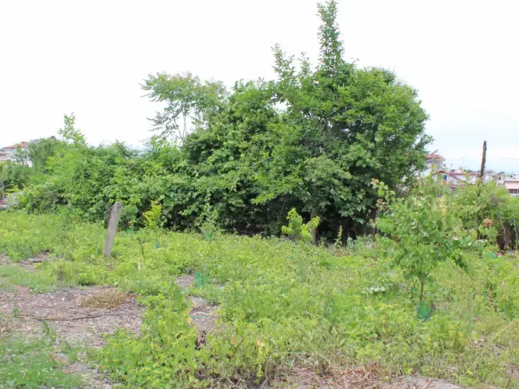 Land 400 M² On The Olympic Coast