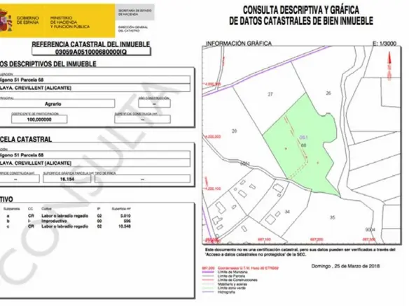 Land In Crevillente, Spain (16.000 M² Plot)