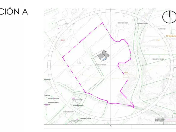 Land In Crevillente, Spain (16.000 M² Plot)