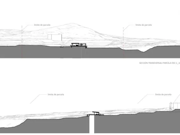 Land In Crevillente, Spain (16.000 M² Plot)