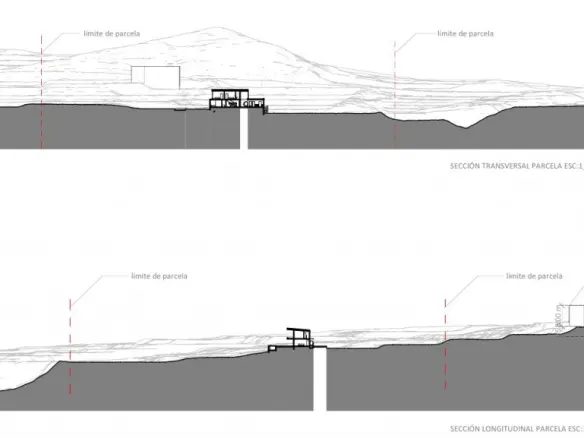 Land In Crevillente, Spain (16.000 M² Plot)