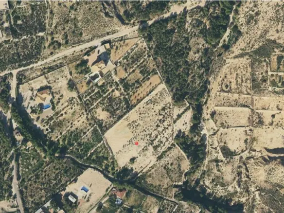 Land In Crevillente, Spain (16.000 M² Plot)