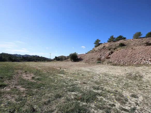 Land In Abanilla, Spain (8.000 M² Plot)
