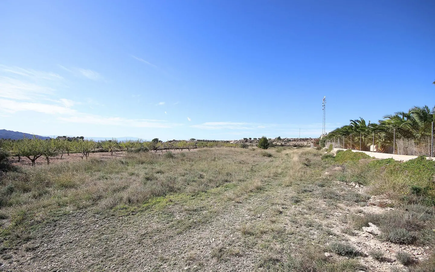 Land In Macisvenda, Spain (5.871 M² Plot)