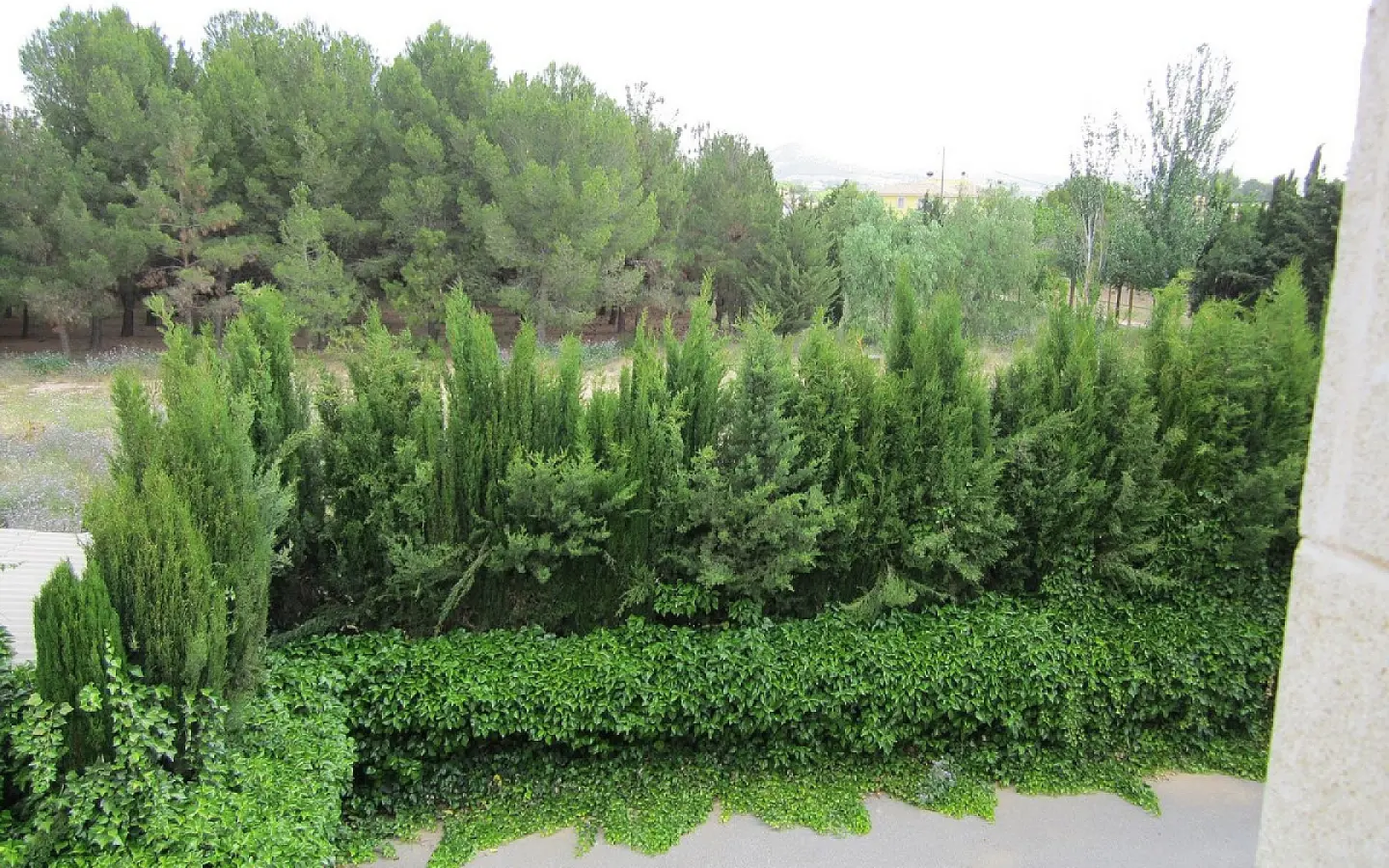 6-bedroom Detached Villa In Yecla, Spain (501 M²)