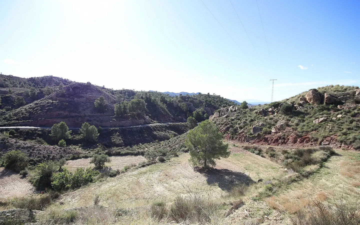 Land In Abanilla, Spain (8.000 M² Plot)