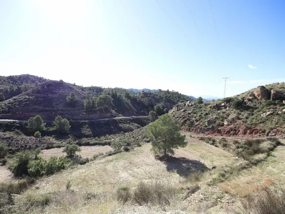 Land In Abanilla, Spain (8.000 M² Plot)