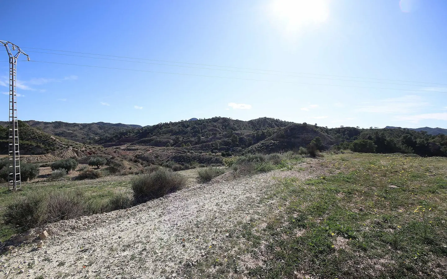Land In Abanilla, Spain (8.000 M² Plot)