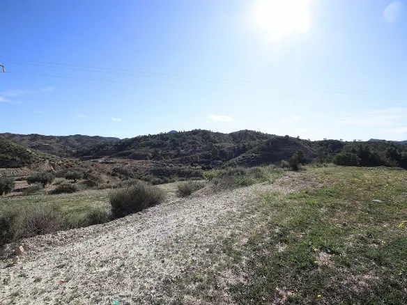 Land In Abanilla, Spain (8.000 M² Plot)