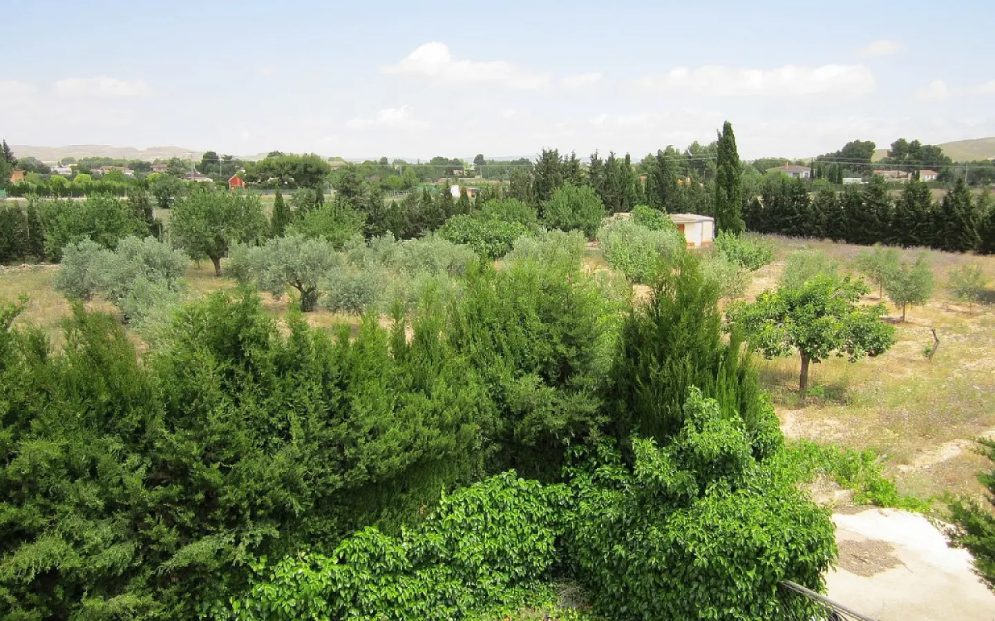 6-bedroom Detached Villa In Yecla, Spain (501 M²)