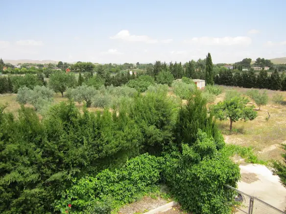 6-bedroom Detached Villa In Yecla, Spain (501 M²)