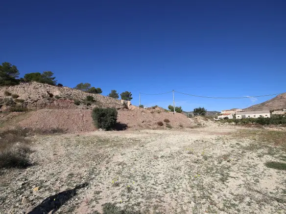 Land In Abanilla, Spain (8.000 M² Plot)