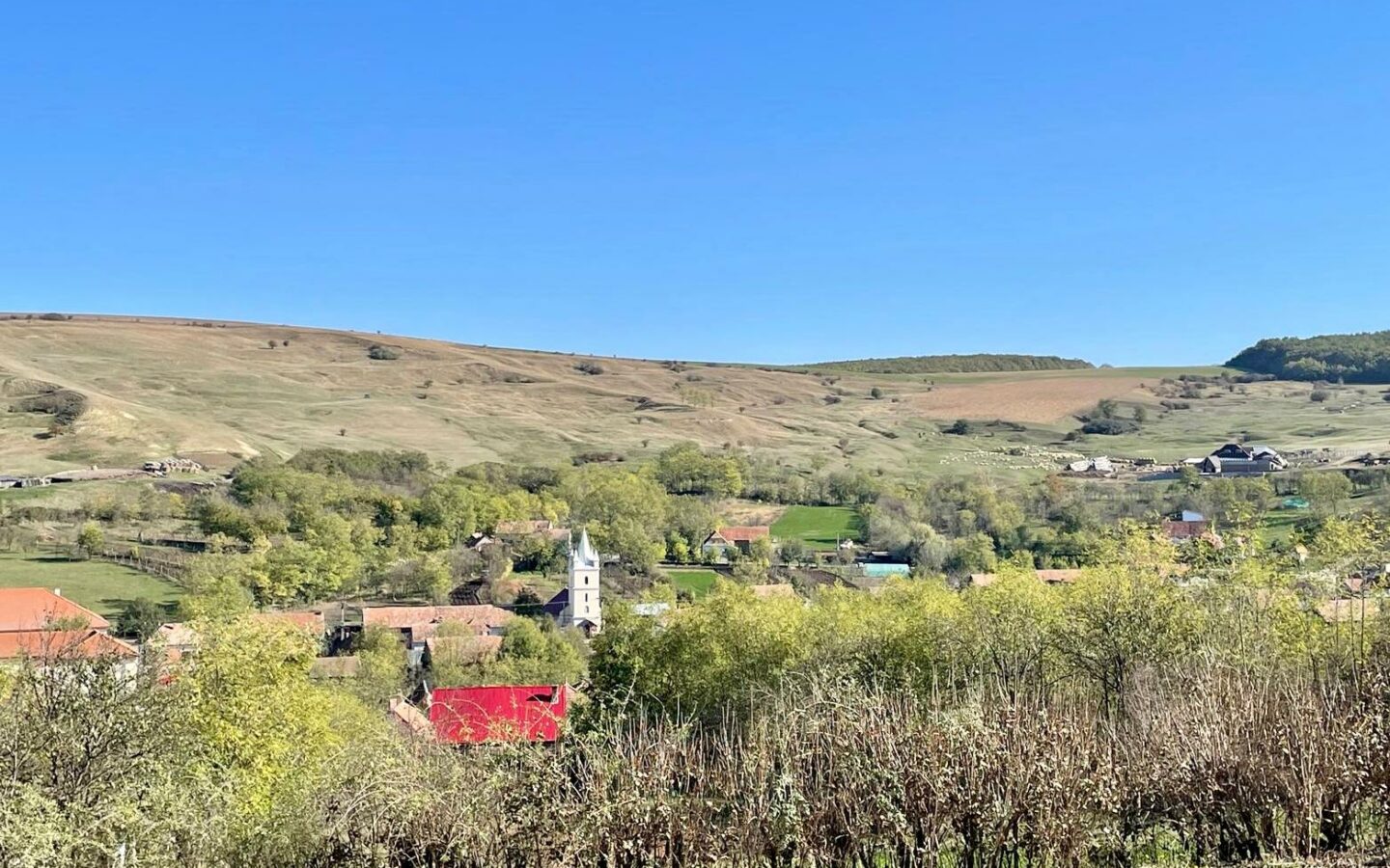 2,500 Sqm Plot Of Land With Saxon House & Tiny House Project On Via Transilvanica