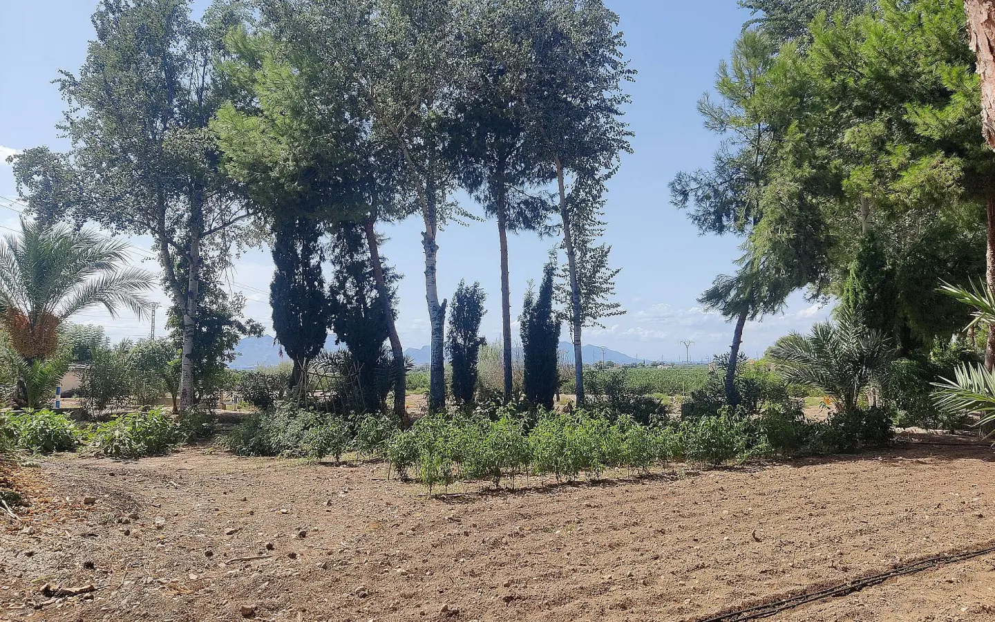 3-bedroom Country House In Crevillente, Spain (250 M²)