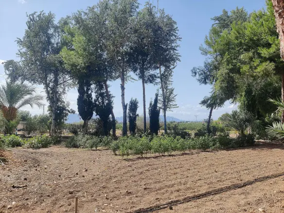 3-bedroom Country House In Crevillente, Spain (250 M²)