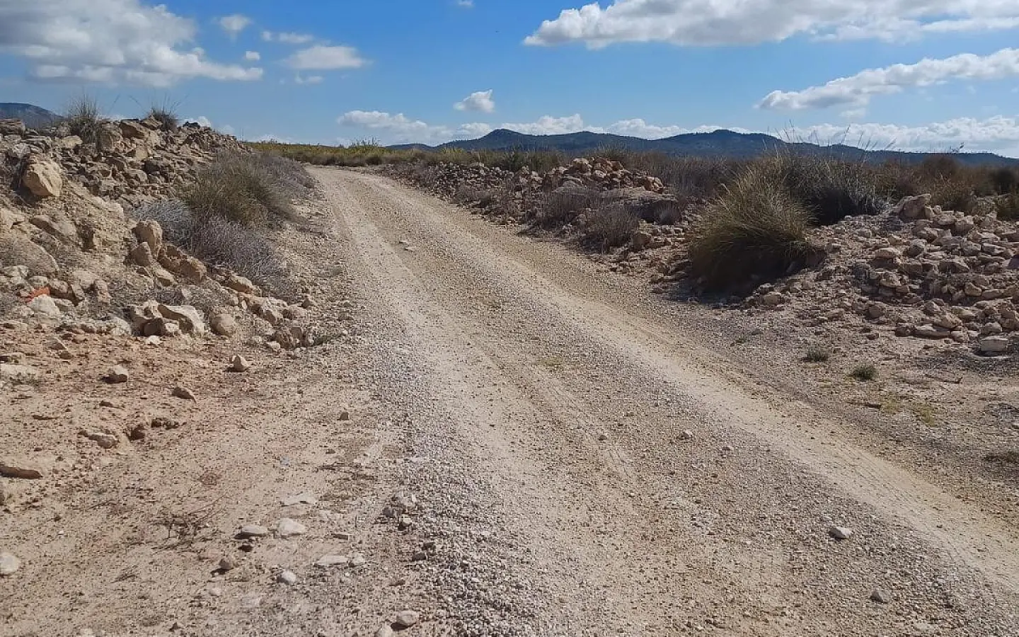 Land In Pinoso, Spain (13.836 M² Plot)