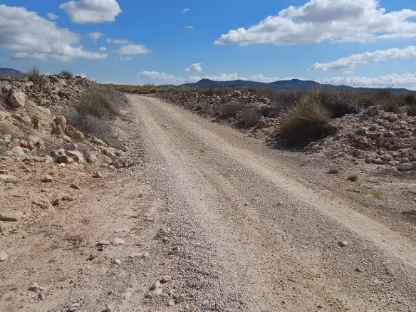 Land In Pinoso, Spain (13.836 M² Plot)